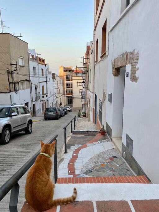 Villa Townhouse - Casa Rustica Entre Mar Y Montana Alcanar Esterno foto